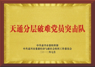 “天通分层破难党员突击队”